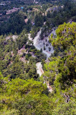 Kıbrıs Rum Kesimi 'nin Troodos bölgesinde ağaçlı, teraslı ve yollu yamaçlar 