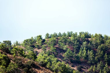 Kıbrıs Rum Kesimi 'nin Troodos bölgesinde ağaçlı, teraslı ve yollu yamaçlar 