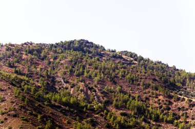 Kıbrıs Rum Kesimi 'nin Troodos bölgesinde ağaçlı, teraslı ve yollu yamaçlar 