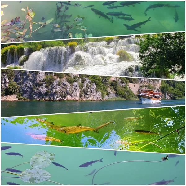 Collage Heller Bilder Des Sonnigen Sommers Kroatien — Stockfoto