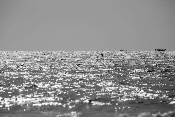 Mar Quente Brilhante Chipre Com Reflexos Agradáveis Sol Preto Branco — Fotografia de Stock