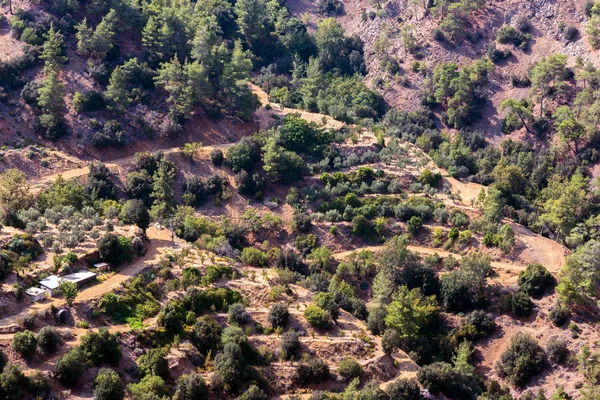 Горные Склоны Деревьями Террасами Дорогами Троодосском Регионе Кипра — стоковое фото