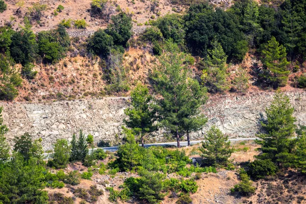 Bergsluttningar Med Träd Terrasser Och Vägar Troodos Regionen Cypern — Stockfoto