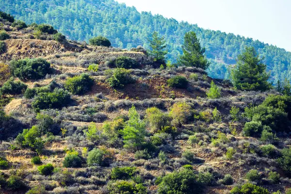 Encostas Montanhosas Com Árvores Terraços Estradas Região Troodos Chipre — Fotografia de Stock