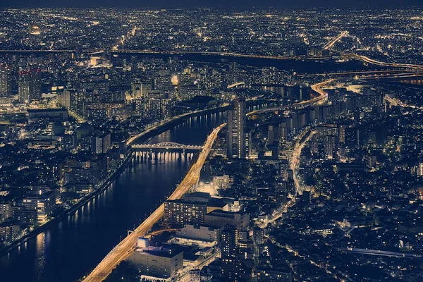 Duótono Vibrante Vista Aérea Noche Panorama Tokio Con Rascacielos Río — Foto de Stock