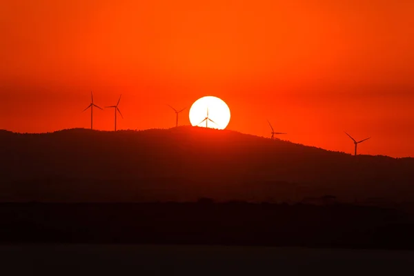Wind Power Generators Background Sunset Dry Salt Lake Cyprus Larnaca — Stock Photo, Image