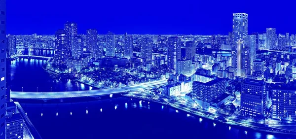 Duotone Vista Aérea Vibrante Noite Panorama Tóquio Com Arranha Céus — Fotografia de Stock