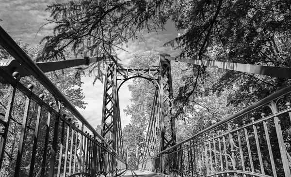 Żywy Szeroki Kąt Widzenia Słynnego Mostu Żelaza Kronstadt Latem Zielonymi — Zdjęcie stockowe