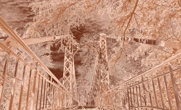 Żywy Szeroki Kąt Widzenia Słynnego Mostu Żelaza Kronstadt Latem Zielonymi — Zdjęcie stockowe