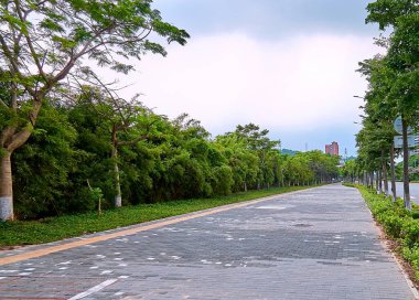 Geniş açılı yeşil ağaç sokağı ve Çin Shenzhen 'deki yaya tuğlası yolu.  