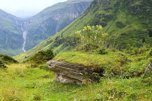 Alpen Valle Brumoso Verano Austria — Foto de Stock