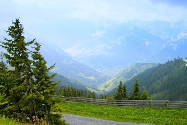 Alpen Stálezelené Stromy Přes Slunné Mlhavé Údolí Rakousku — Stock fotografie