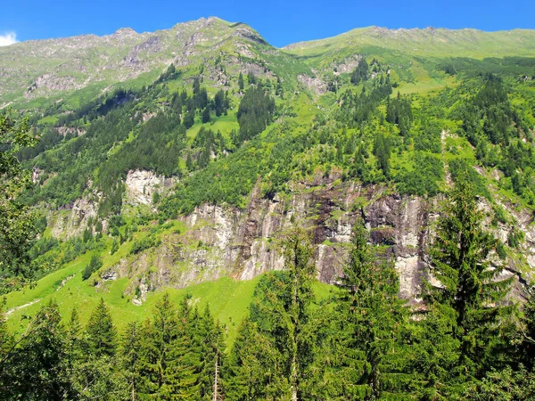 Austria Alpes Verano Día Soleado Con Pendientes Verdes Flores Árboles — Foto de Stock