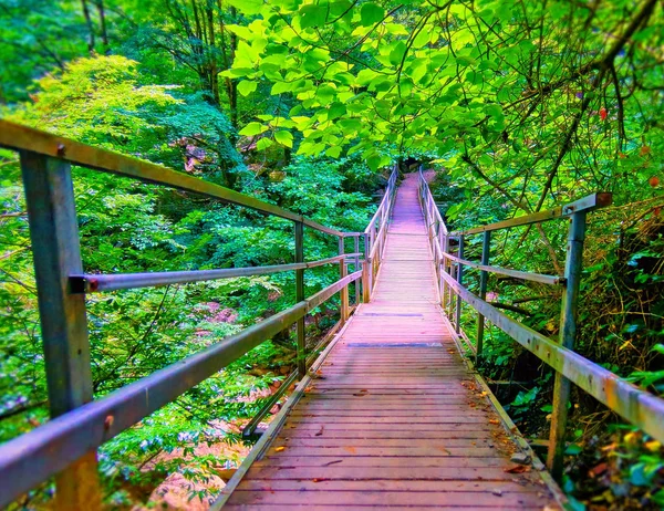 阳光明媚的夏天 绿色铁桥在干石河床上的壮丽景象 — 图库照片