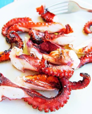 Kıbrıs 'ta beyaz tabak üzerine kızarmış yağ ahtapotu parçaları yakın plan