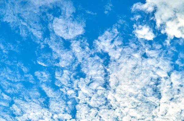 夏の青空の背景 — ストック写真