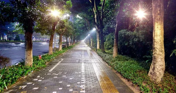 Wide Angle Cinema Styled View Illuminated Green Tree Alley Pedestrian — Stock Photo, Image