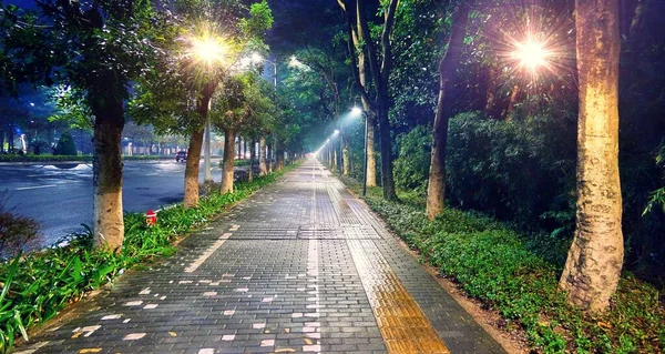 Стилизованный Широкоугольный Вид Подсвеченное Зеленое Дерево Пешеходную Дорогу Китайском Шэньчжэне — стоковое фото