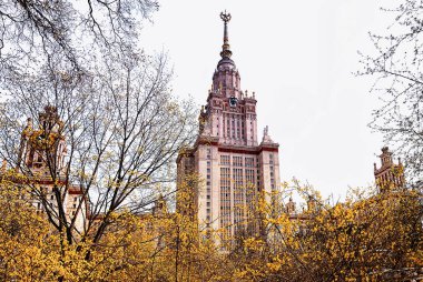 Moskova 'daki ünlü Rus Üniversitesi' nin sarı ağaçlı bahar kampüsünün canlı manzarası. 