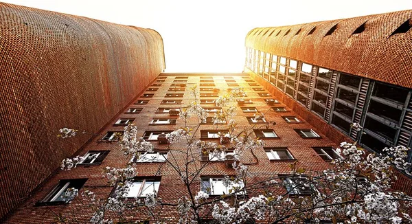Retro Stílus Kilátás Magas Téglafal Lakóépület Moszkvában Fehér Cseresznyevirág Alsó — Stock Fotó