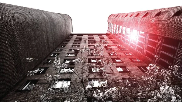 Retro Stílus Kilátás Magas Téglafal Lakóépület Moszkvában Fehér Cseresznyevirág — Stock Fotó