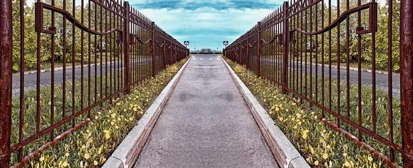 Retro Stijl Roestige Hekken Opzij Asfalt Weg Met Gele Paardebloemen — Stockfoto