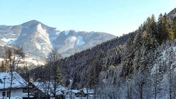 Winterhang Der Österreichischen Alpen Mit Sonnigem Immergrünem Wald — Stockfoto