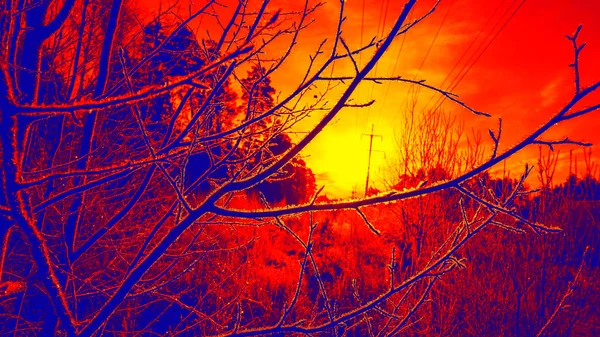 Gradiënt Kleur Achtergrond Van Bevroren Landschap Met Lange Schaduwen Glinsterende — Stockfoto