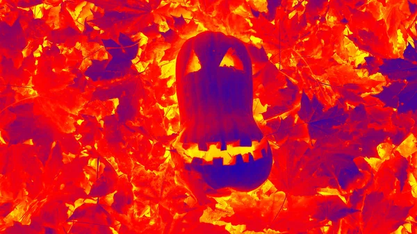 Gradiënt Kleur Achtergrond Van Halloween Pompoen Moskou Gevallen Herfst Bladeren — Stockfoto