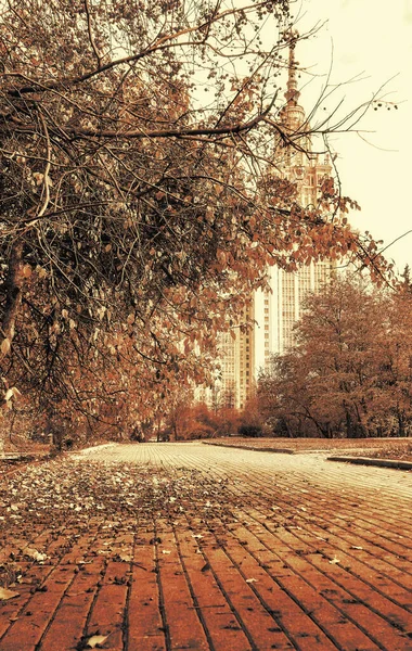 Gradiënt Kleurweergave Van Herfst Park Campus Van Beroemde Russische Universiteit — Stockfoto