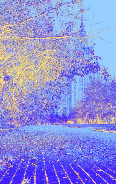 Градиентный Вид Осенний Парк Кампусе Знаменитого Российского Университета Опавшими Листьями — стоковое фото