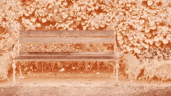 Gradient Color View Retro Style Wooden Bench Pink Flowers Public — Stock Photo, Image