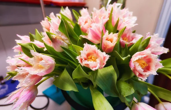 Los Tulipanes Jugosos Coloridos Primaverales Del Día Internacional Mujer Acercan — Foto de Stock