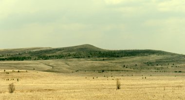 İlkbaharın başlarında cansız tarlalar