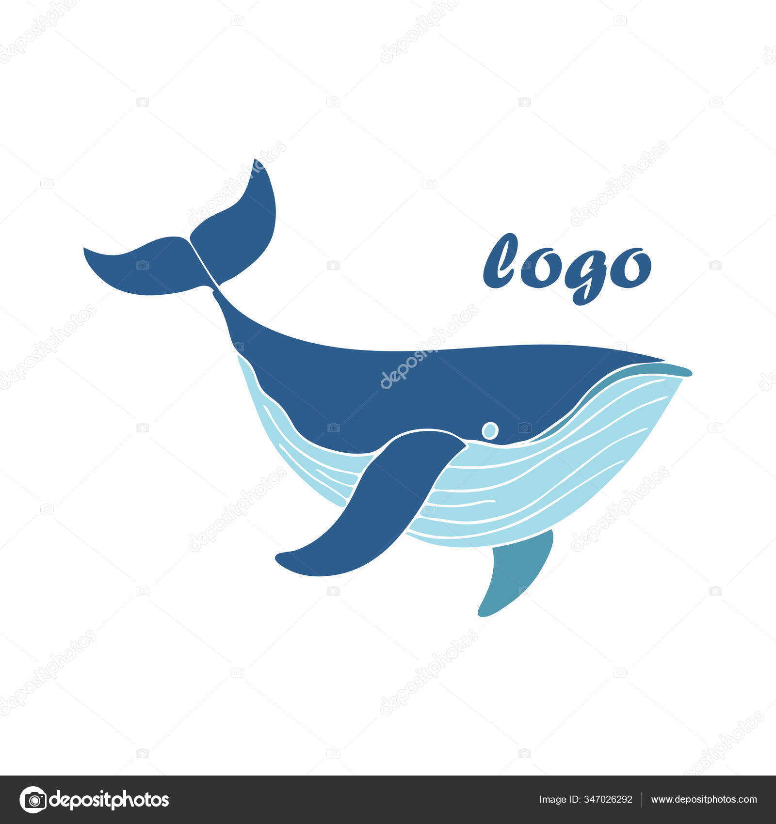 鯨ひげストックベクター ロイヤリティフリー鯨ひげイラスト Depositphotos