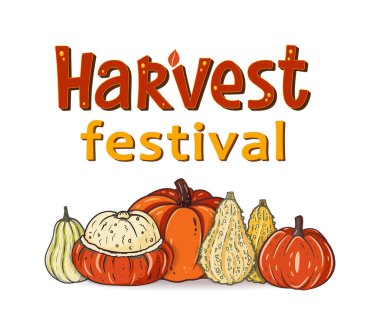 Hasat Festivali el yazısı ve dekoratif balkabaklı daktilo metni. Sembolleri toplayın. Sonbahar hasat festivali 