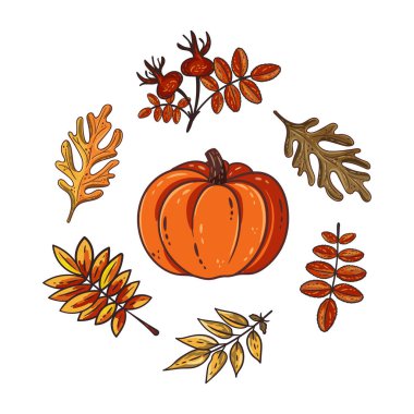 Sonbahar yaprakları ve balkabakları beyaz arka planda izole edilmiş. Şükran Günü için sukabağı yapraklı mevsimlik yaban gülü ve meşe yaprakları, hasat süsü, sonbahar mevsimi elementleri. Çelenk şablonu. Vektör tasarımı