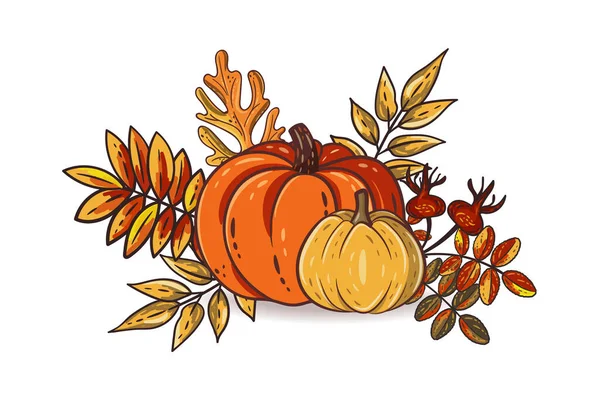 Autumn Leaves Pumpkins Isolated White Background Seasonal Rowan Oak Leaves — Stock Vector
