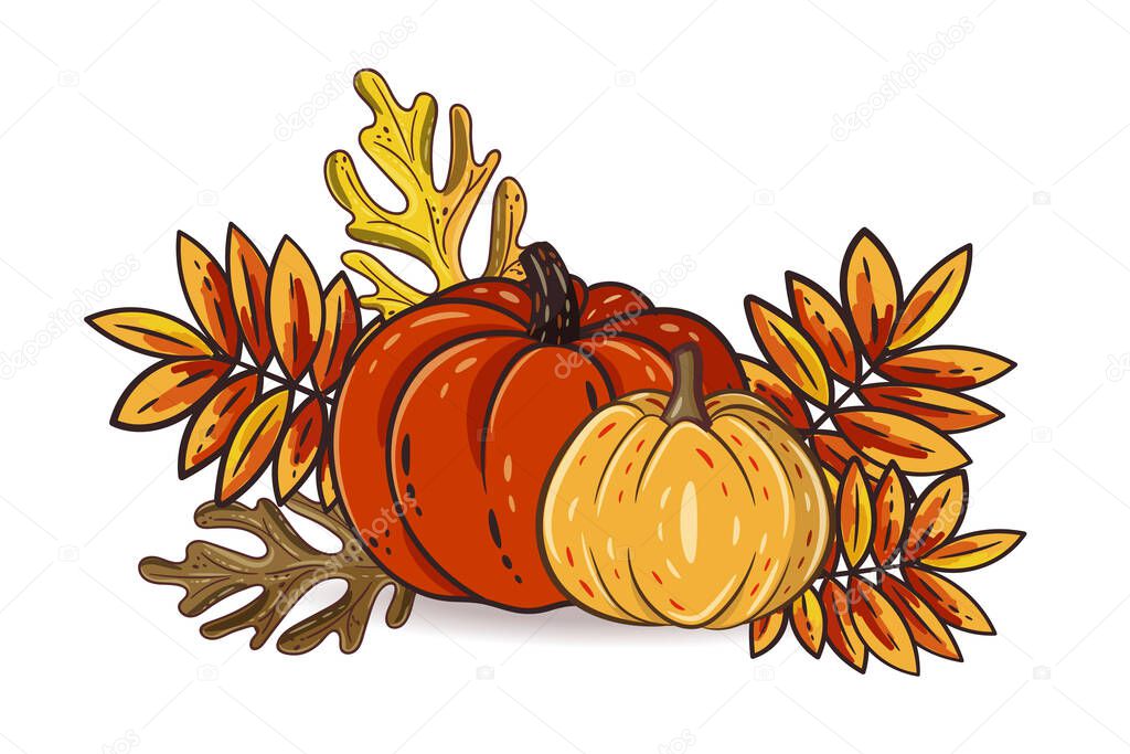 Autumn leaves and pumpkins isolated on white background. Seasonal rowan and oak leaves with gourds for thanksgiving day, harvest decoration, halloween. Fall season elements. Vector design