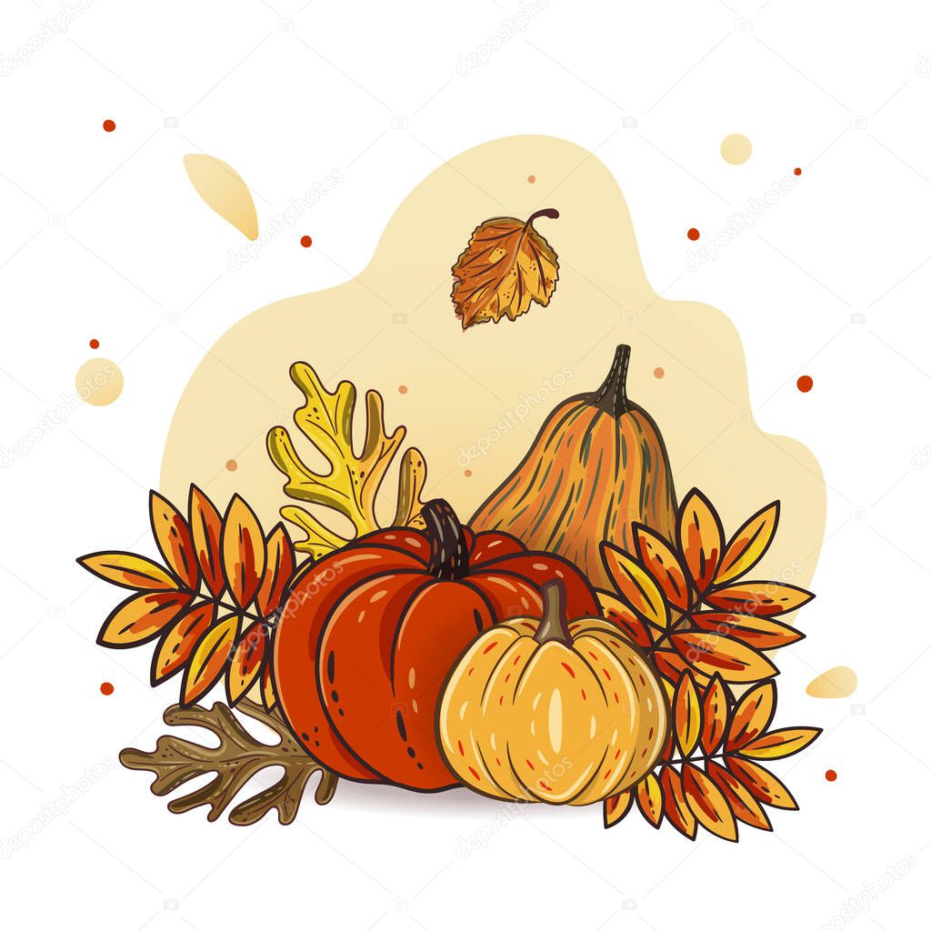 Autumn leaves and pumpkins for postcard, banner, poster. Seasonal rowan and oak leaves with gourds for thanksgiving day, harvest decoration, halloween. Fall season elements. Vector design. Autumn mood