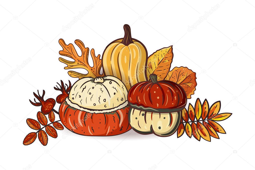 Autumn leaves and pumpkins isolated on white background. Seasonal oak, hawthorn, aspen leaves with gourds for thanksgiving day, harvest decoration, halloween. Fall season elements. Vector design