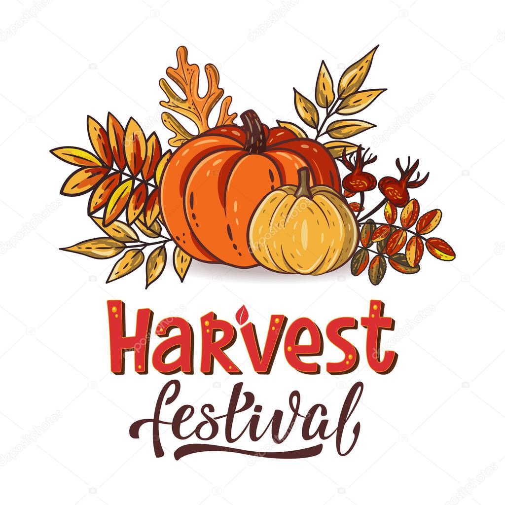 Harvest Festival hand drawn lettering text with autumn leaves and pumpkins. Rowan and oak leaves with gourds and dog-rose. Fall season elements for thanksgiving. Autumn harvest fest. Vector design