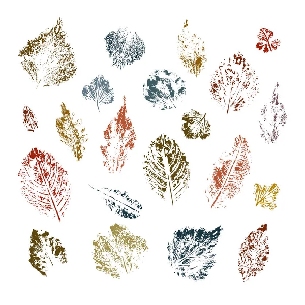 Collection Vectorielle Feuilles Impression Encre Isolées Sur Fond Blanc Eléments — Image vectorielle