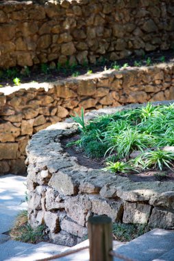 Taş duvardaki yeşil bitkiler. Dinlenecek yerler
