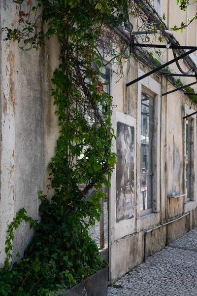  Lisbon 'da Dar Sokak' ta bir bina. Lizbon 'da Sokaklar