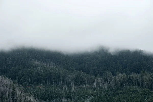 Fond Écran Photo Brouillard Dans Les Montagnes Photo Des Montagnes — Photo