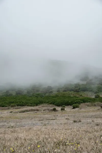 Ομίχλη Στο Δάσος Ταπετσαρία Φωτογραφία Εικόνα Της Ομίχλης — Φωτογραφία Αρχείου