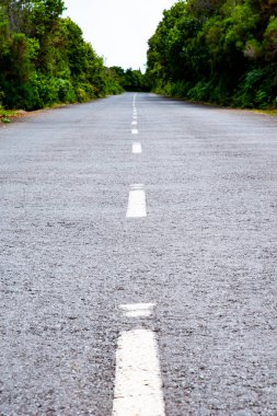 Yolun resmi var. Parktaki yol.