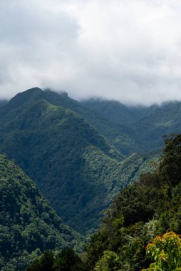 Yazın dağlar. Dağların fotoğrafı.
