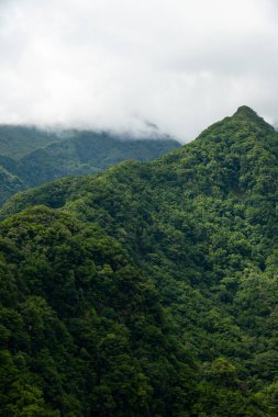Bir dağ tepesi resmi. Güneşli bir günde dağ